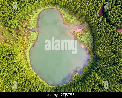 Ghost shaped drone  landscape. Top down aerial view of a small pond in the middle of a forest, reflecting clouds in the sky. Bird view of Canary lagoo Stock Photo