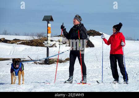 Seniors Man woman and dog on winter trip, healthy lifestyle cross country skiing Stock Photo