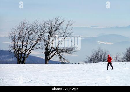 Lonely man in red, single skier in the snow-covered countryside in Eastern Ore mountains cross country skiing Czech Republic winter Stock Photo