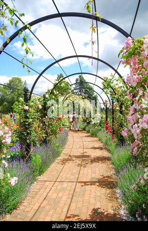 Gardens of the Rose, Chiswell Green, St. Albans, Hertfordshire, England, United Kingdom Stock Photo