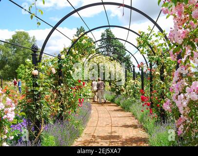 Gardens of the Rose, Chiswell Green, St. Albans, Hertfordshire, England, United Kingdom Stock Photo