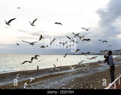 Nice, France - January 2018: Close up of a man feeding seagulls on the beach Stock Photo