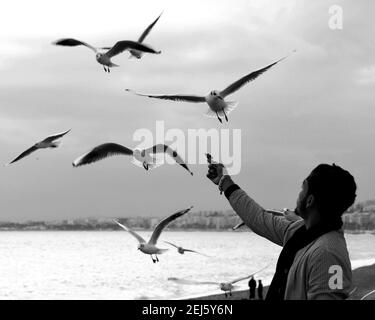 Nice, France - January 2018: Close up of a man feeding seagulls on the beach Stock Photo