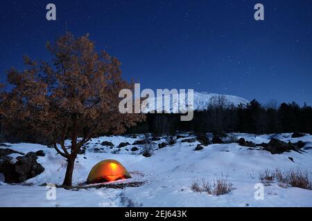 lighting tent and oak tree in the snow of Etna Park under starry sky, Sicily Stock Photo