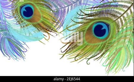 Peacock feather realistic in boho style. Luxury design. Stock Vector