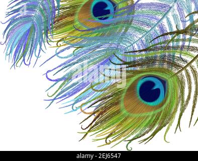 Peacock feather realistic in boho style. Luxury design. Stock Vector