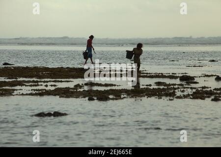 Young women silhouetted as they are walking on rocky beach during low tide, carrying plastic buckets to collect sea products—an alternative, seasonal food source in Sumba Island, East Nusa Tenggara, Indonesia. Stock Photo