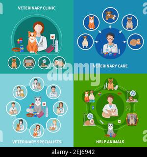 Veterinary clinic animal care treatments procedures medication specialists advise 4 flat icons square concept isolated vector illustration Stock Vector