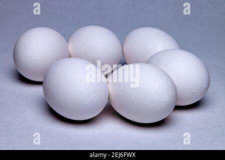 White shell eggs Stock Photo