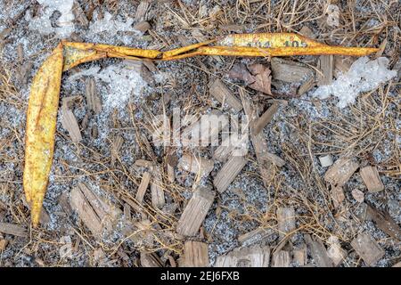 Part of a yellow tape measure lying on the ground. It is yellow but bent, crumpled, and rusty. Part of the measuring numbers visible. Stock Photo