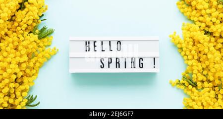 HELLO SPRING written in a light box and Mimosa flowers border on a light blue background. Spring concept, flat lay Stock Photo