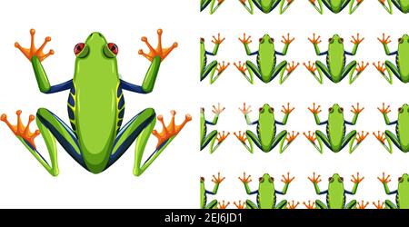 Red-eyed tree frog isolated on white background and seamless illustration Stock Vector