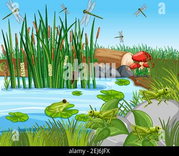 Many green frogs and dragonfly in the pond scene Stock Vector Image ...