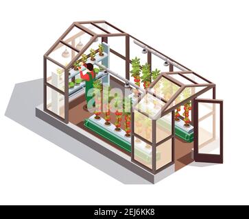 Isometric greenhouse for growing vegetables and fruits with glass walls shelves and artificial lighting isolated vector illustration Stock Vector