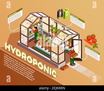 Hydroponic isometric composition with greenhouse image and description of construction elements and plant care methods vector illustration Stock Vector
