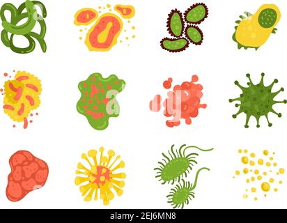 Viruses and bacteria set with science symbols flat isolated vector illustration Stock Vector