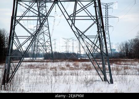 Giant electricity transmission towers snaking off into the distance ...