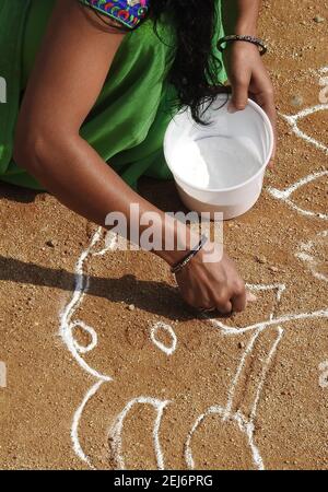 Indian Hindu woman draw traditional rangoli during harvest festival pongal or makar sankranti Stock Photo