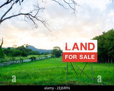 Land for sale sign on empty land, green meadow near the tree and surrounded with white wooden fence on beautiful sky background. Red and white letters Stock Photo