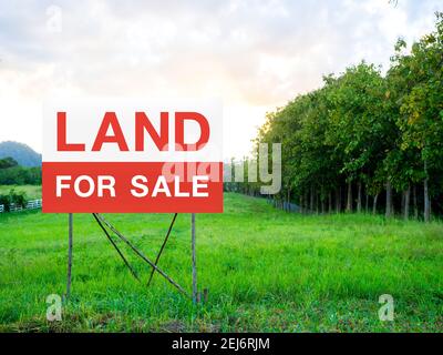Land for sale sign on empty land, green meadow near the tree and surrounded with white wooden fence on beautiful sky background. Red and white letters Stock Photo