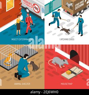 Animal control services 4 isometric icons square concept with stray dog catching and insects extermination vector illustration Stock Vector