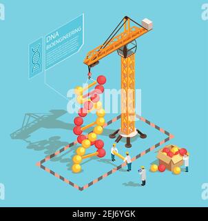 GMO bio engineering isometric composition on blue background with scientists during building of dna structure vector illustration Stock Vector