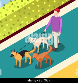 Employed worker during dogs walking on leashes on walkway with green bushes isometric background vector illustration Stock Vector