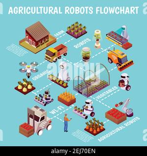 Agricultural robots isometric flowchart with schematics of modern farm with images of hothouse seedbeds and androids vector illustration Stock Vector