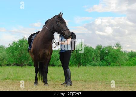 Caucasian horse rider is standing next to her mare and adjusting the stirrup of saddle. Stock Photo