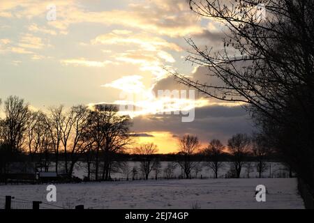 A beautyful sunset with cloudy sky and trees in the background Stock Photo