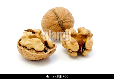 Walnuts, whole and opened on white background Stock Photo