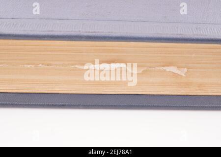 blue book on white background Stock Photo