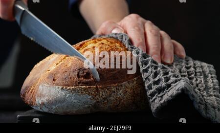 cook slicing freshly baked bread on black wooden cutting board Stock Photo
