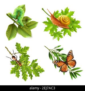 Insects on plants concept 4 realistic icons set with caterpillar snail butterfly and ant isolated vector illustration Stock Vector
