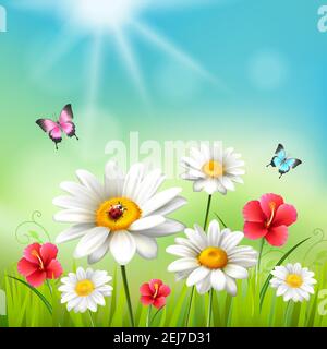 Daisy realistic 3d composition flowers in the sun with with butterflies and beetles vector illustration Stock Vector