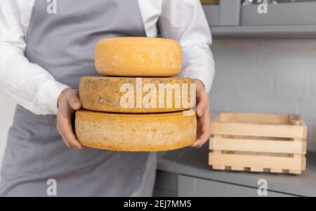Farmer in gray apron holds three circle of blue cheese. Stock Photo