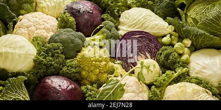 From above background of various fresh ripe cabbages for healthy food preparation arranged in heap Stock Photo