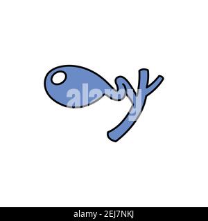 Human organ gall bladder color line icon. Pictogram for web page, mobile app, promo. UI UX GUI design element. Editable stroke. Stock Vector