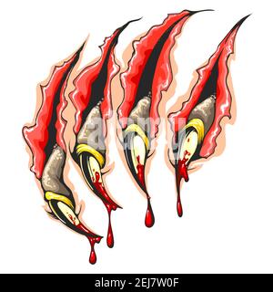 Colorful Tattoo of Monster Claws Scratches with drops of blood isolated on white. Vector Illustration Stock Vector