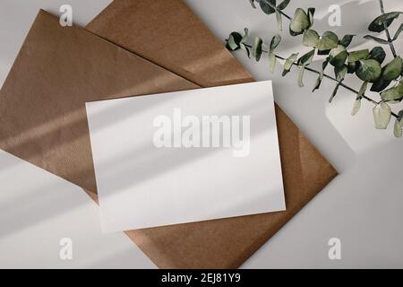 Empty paper card and eucalyptus branches on the white table. Stock Photo