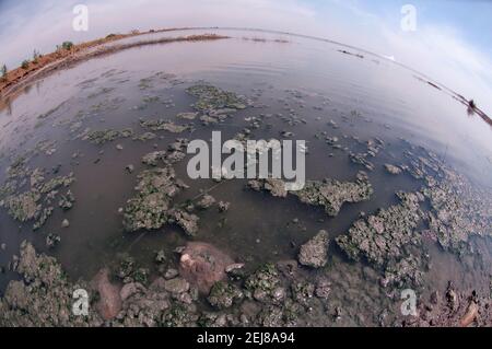 Mud lake environmental disaster which developed after drilling incident, Porong Sidoarjo, near Surabaya, East Java, Indonesia Stock Photo