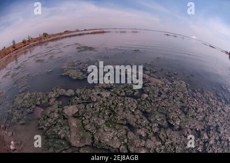 Mud lake environmental disaster which developed after drilling incident, Porong Sidoarjo, near Surabaya, East Java, Indonesia Stock Photo