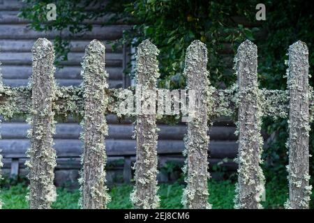 Fragment of an old fence covered with lichen. Stock Photo