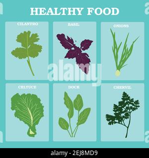 Set vector vegetables and herbs. Flat. Healthy vegetarian food. Farmers fresh food. Natural. Diet. Farmers market. Farm vegetarian food. Onion, garlic Stock Vector