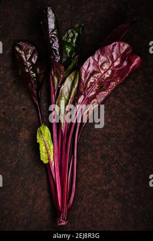 Red stem chard on a dark backdrop. Stock Photo