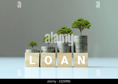 Growing plant on coin pile and wood block with loan text, finance ideas and credit growth. Stock Photo