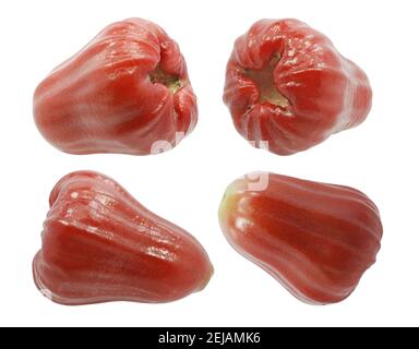 rose apple fruit (Water apple) isolated on white background Stock Photo