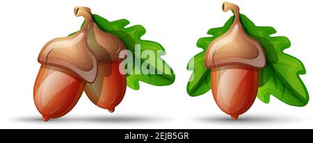 Vector cartoon style flat acorn with leaves. Isolated on white background. Symbol of good luck and fortune. Stock Vector