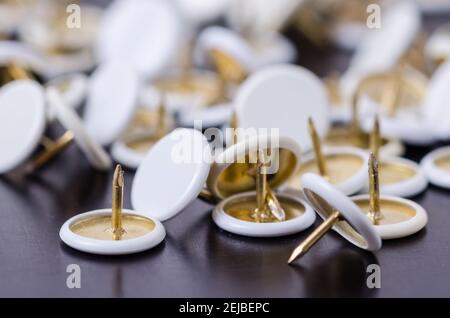 Close-up of white and golden drawing pins, tacks or thumbtacks with metal spiky tips, isolated on white surface or background, flat lay indoors studio Stock Photo