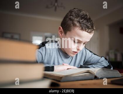 Cute young boy sat reading big old book concentrating hard at wooden table homeschool handsome focused intensely on learning in front room pile books Stock Photo